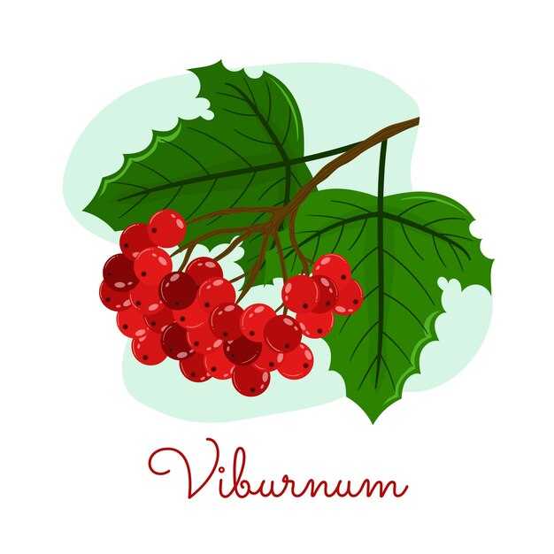 Установка прокладки: советы по выбору и монтажу