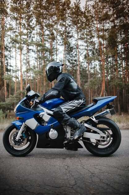 Suzuki Hayabusa