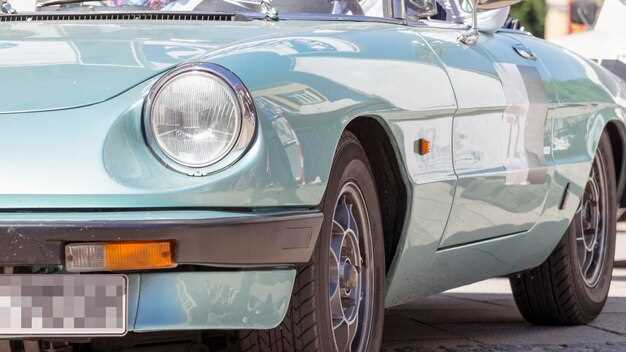 Особенности эксплуатации и техническое обслуживание Bertone Karisma